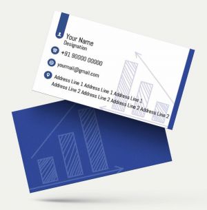 GST tax auditors part-time Consultant Accountant visiting card sample template format white and blue color