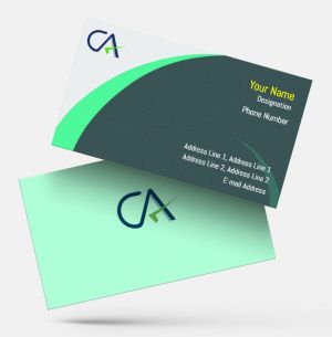 Chartered Accountant  ca visiting card format design sample firm guidelines  images